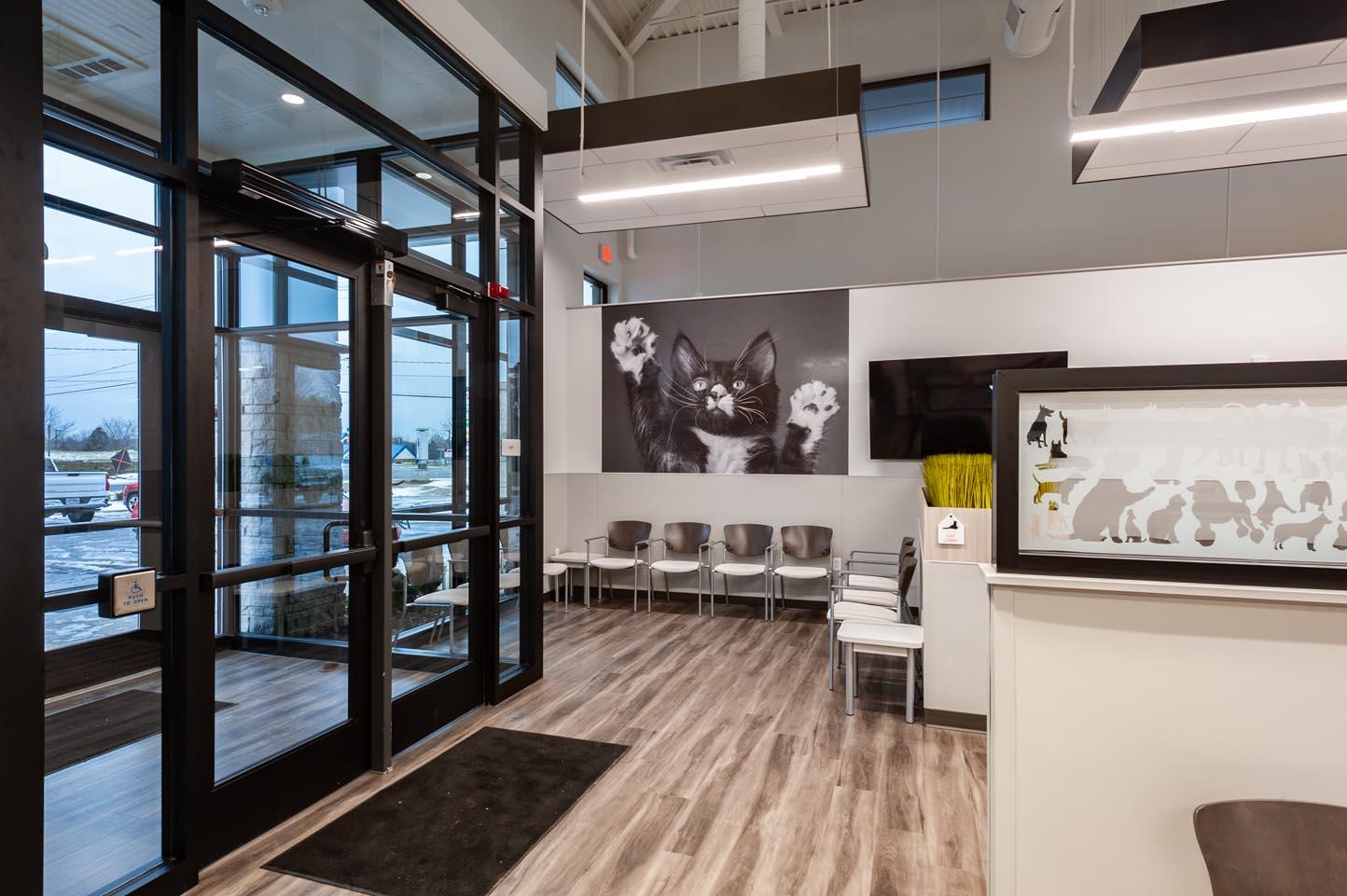 Animal Emergency Hospital Opens Second Location in Grand Rapids - ROIDESIGN